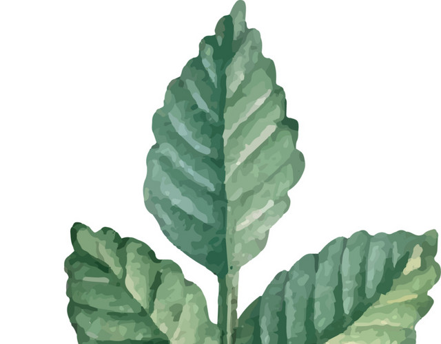 矢量手绘树