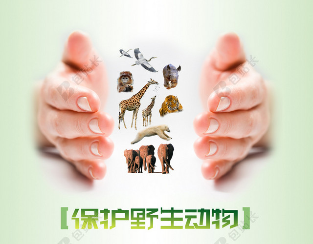 双手保护动物提倡海报背景