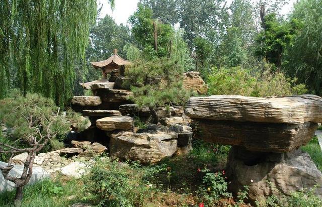 公园风景花园后花园背景图片