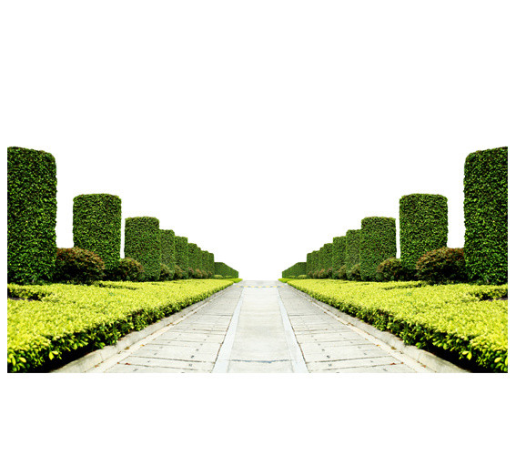 花园大路园艺