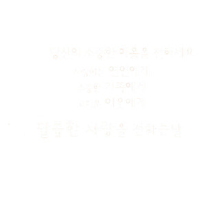 韩文双十一