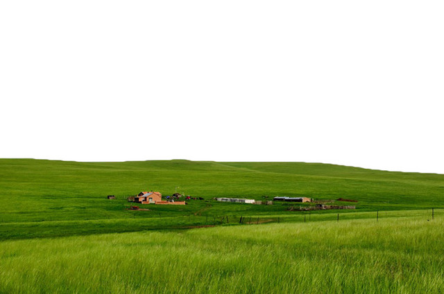 草原牧场