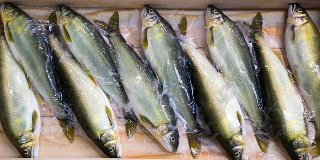 鱼 鱼贩 新鲜 食品 市场 海鲜 海 原 捕捉