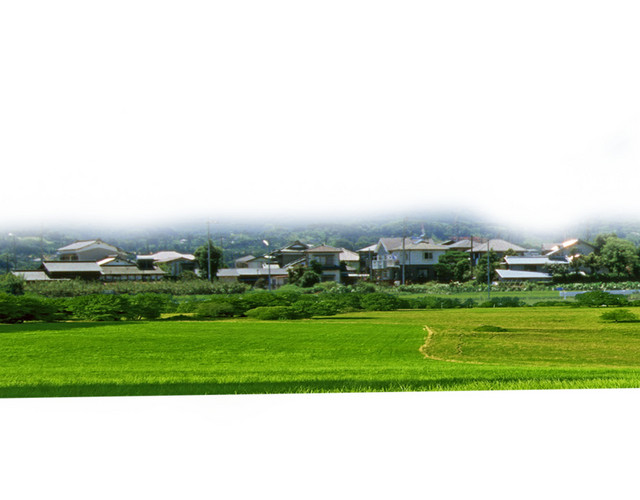 绿色田野