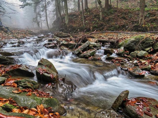 河 水 级联 流 石头 洪流 森林 秋 山 叶子 性质