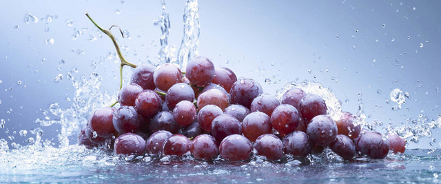 新鲜水果背景BANNER