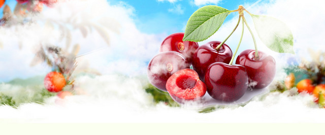 新鲜水果背景BANNER