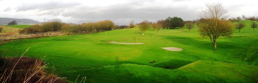 绿色自然植物草坪绿地草坪背景图片