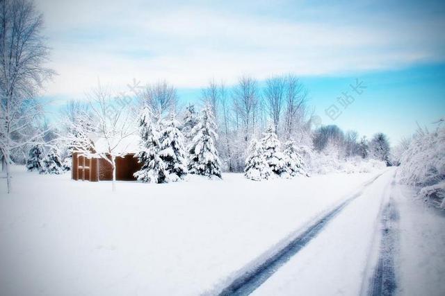 路 雪路 冬天 雪 国家 街