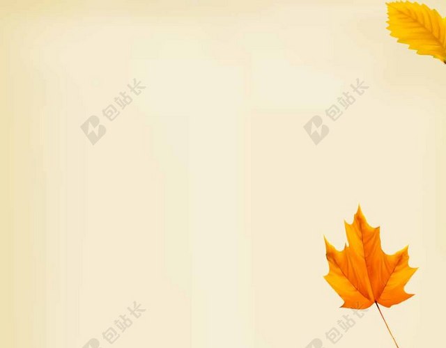 唯美秋天金秋金黄树林草丛海报BANNER背景