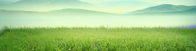 绿色环保草地草原蓝天BANNER背景