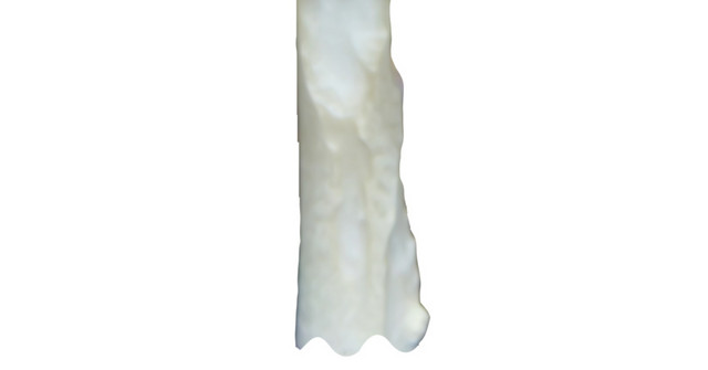 童话里的蘑菇