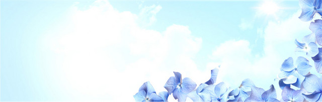 美容BANNER网页