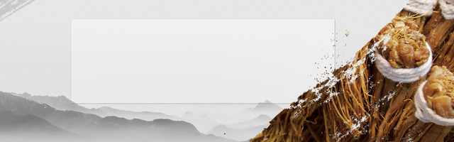 复古中医养生BANNER