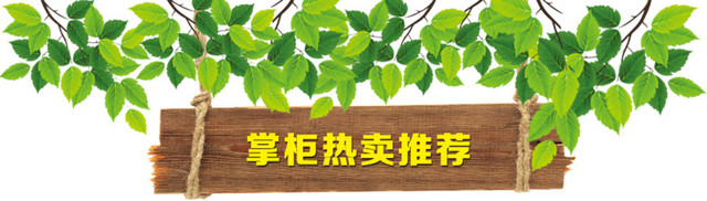 掌柜热卖推荐