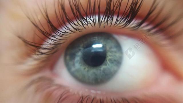 眼睛眼球眼睛特写光亮背景图片