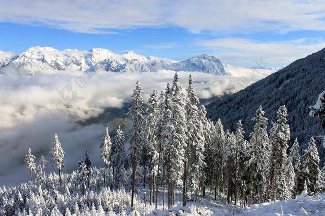 雪域景观 冬季景观 阿尔卑斯山 南蒂罗尔 云 性质 山 松树
