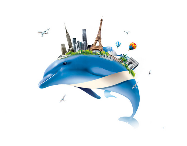 空中海豚上的城市