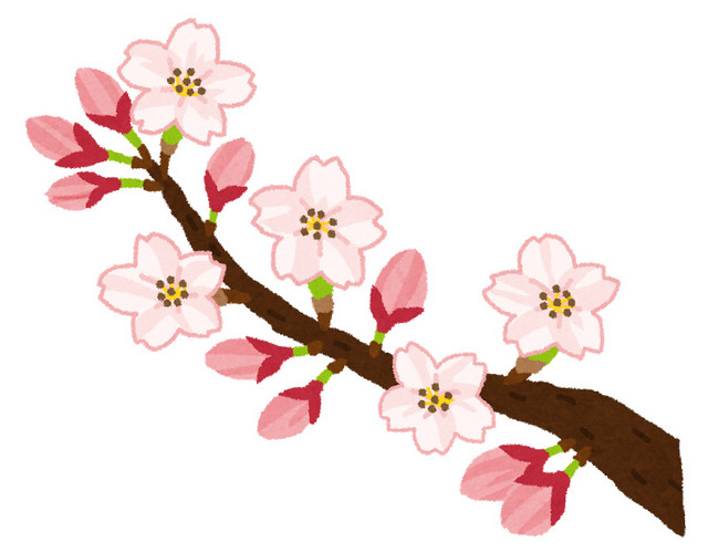 新春粉色梅花素材