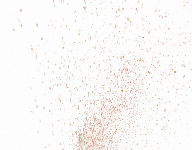 2017金色粉末