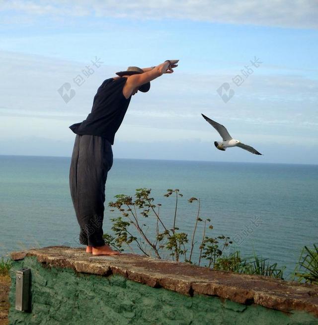 自由 飞行 鸟 海 男子 人的 空气 舞蹈 正文 翼 飞