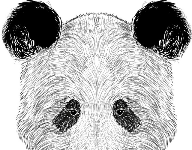 矢量手绘熊猫头像