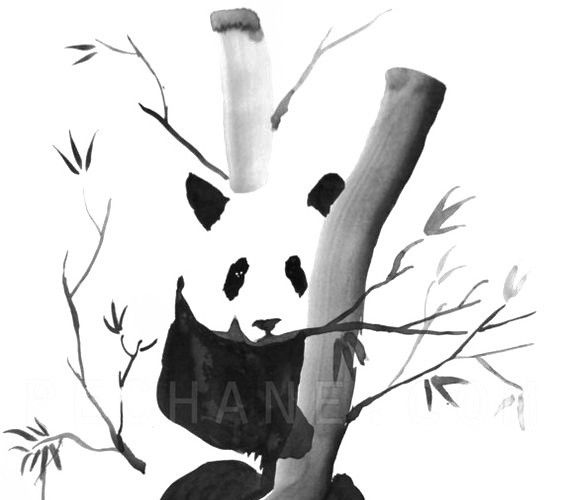 中国风水墨熊猫