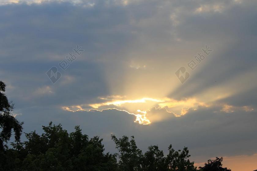 傍晚自然景观日落植物森林背景图片