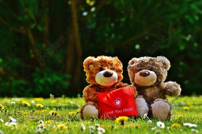 草地上的棕色泰迪熊背景图片