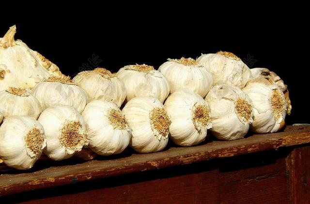白色大蒜香料蔬菜摆放背景图片