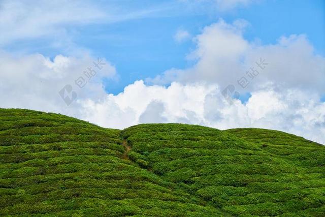 蓝天绿地草坪山地大自然背景图片