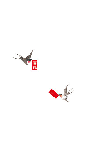 中国风水墨喜报喜鹊装饰