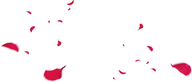 花瓣