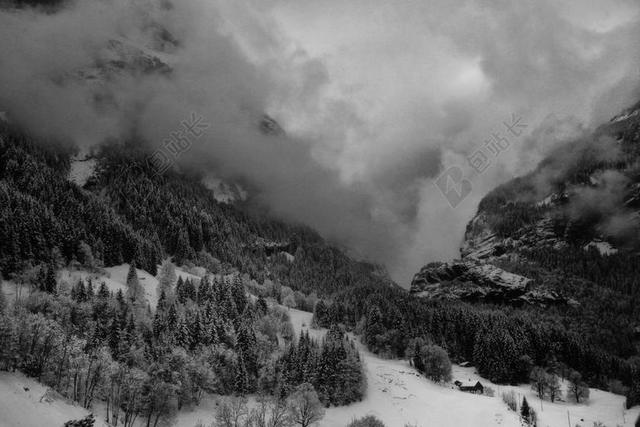 山 瑞士 高山 雪 雾 冬天 冷 现场 转寄 弗罗斯特