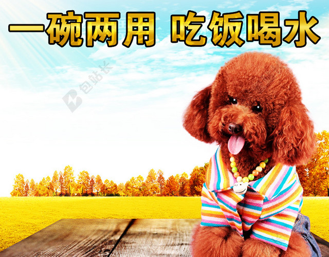 狗狗用品促销主图