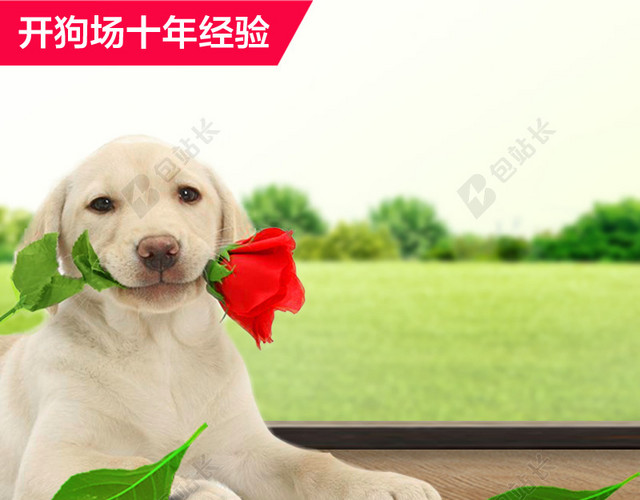 可爱宠物狗零食促销背景图