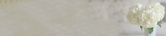 家居白色淡雅花瓣背景BANNER