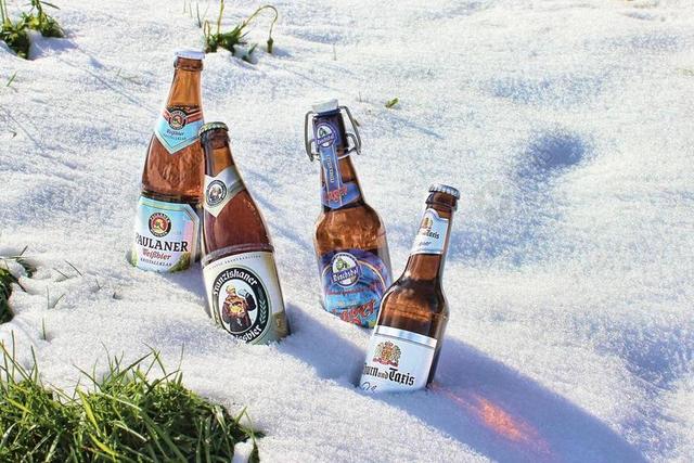 啤酒瓶 冷藏 剪辑关闭 啤酒 瓶 雪 酒精 喝 股票 布朗