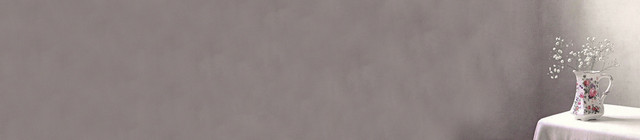 家居简约淡雅小花背景BANNER