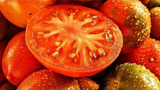 水果 番茄 蔬菜 性质