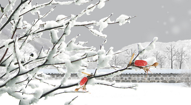 二十四节气小雪