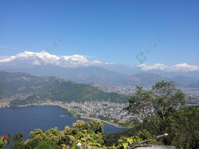 湖泊植物自然景观旅游度假背景图片