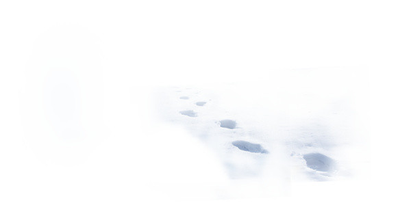 雪地脚印图案