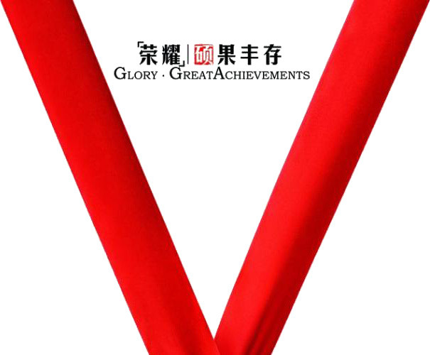 荣誉企业榜单设计