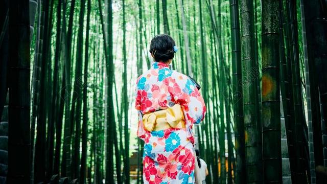 竹树 女孩 和服 户外 树 女子
