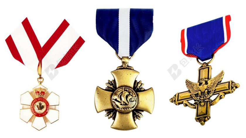 勋章 订单 荣誉 十字架 鹰 皇冠 皇族 军事 海 债务