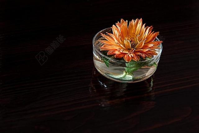 大丽花 花 花瓣 开花 盛开 静物 过去的荣光 老化 花瓶