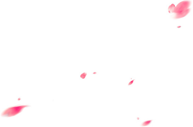 粉色花瓣