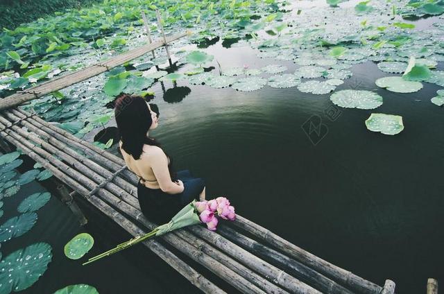 河边观赏荷花时尚女背影背景图片