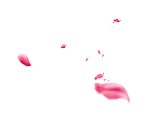 花瓣